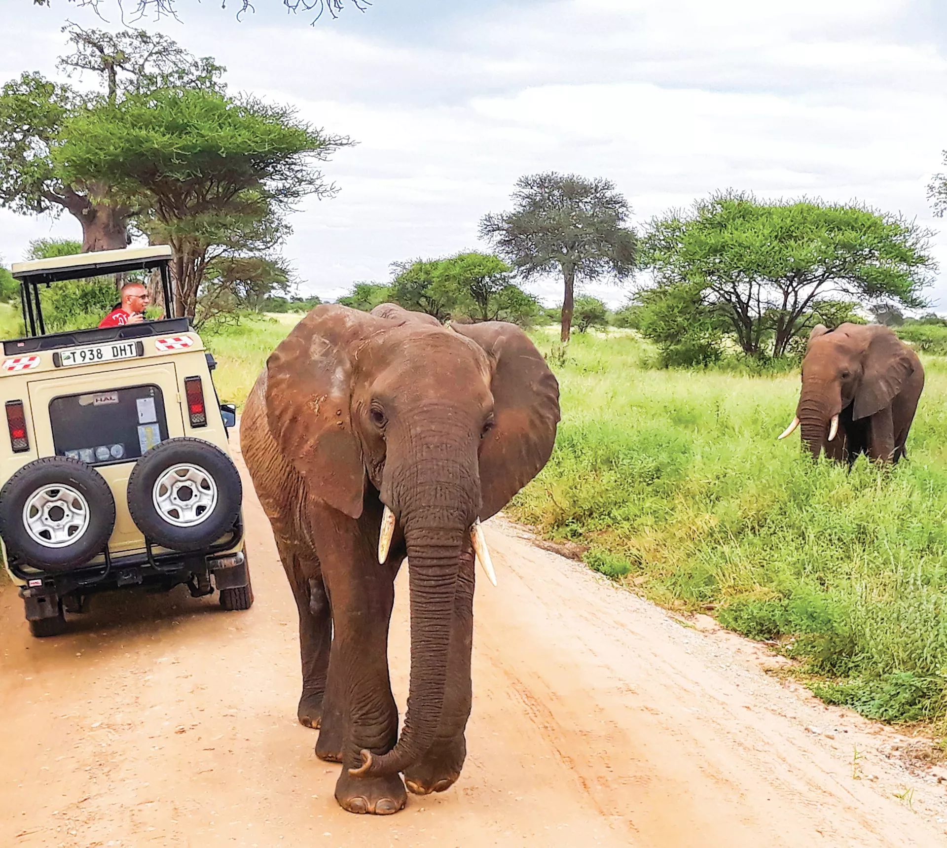 Taste of Tanzania Trip