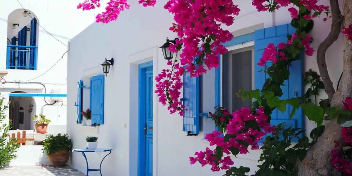 White Houses Light Blue Frames Pink Flowers Tree Green Plants