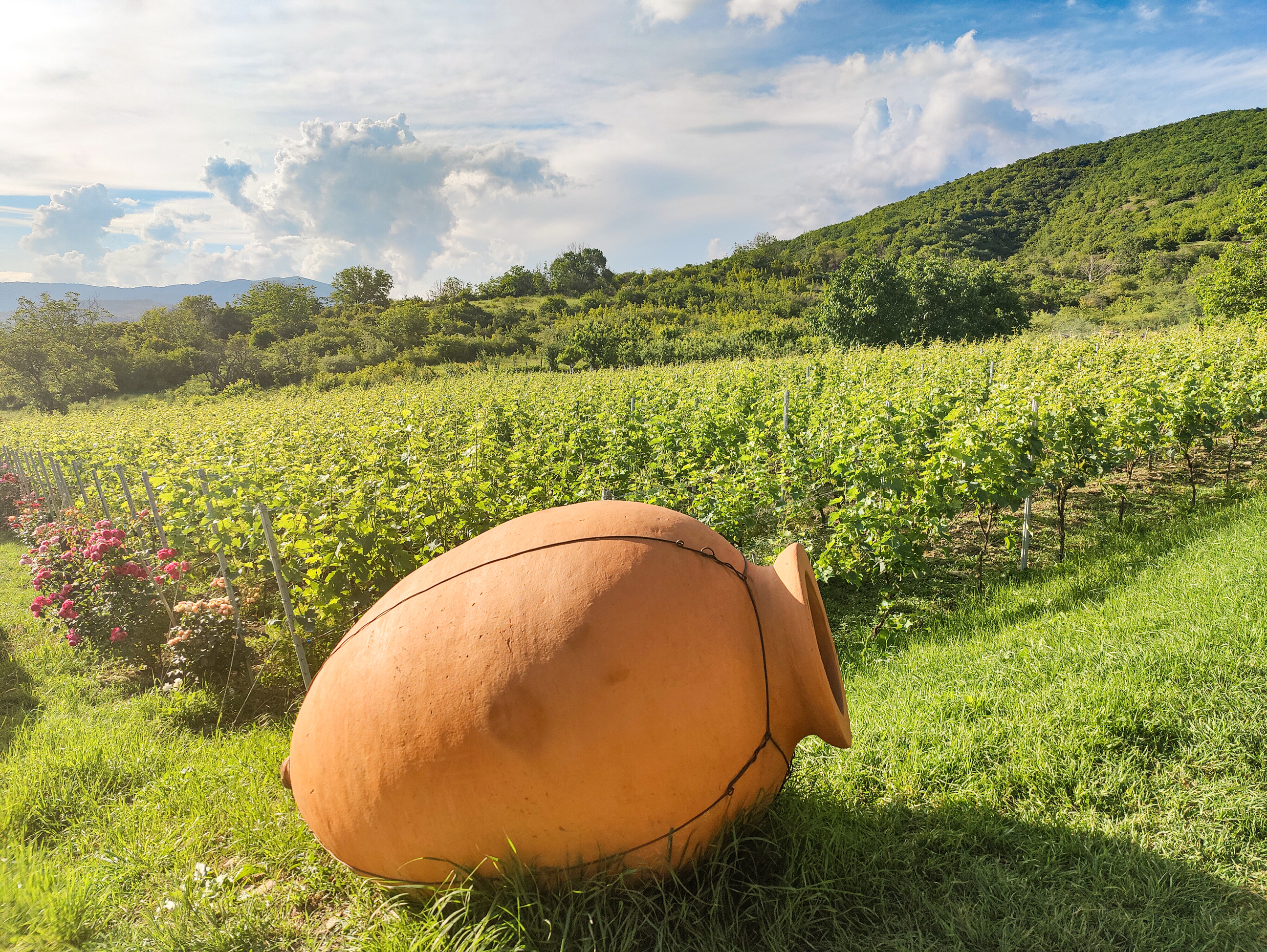 Visit a Georgian Winery MAKE TRAVEL MATTER® Experience