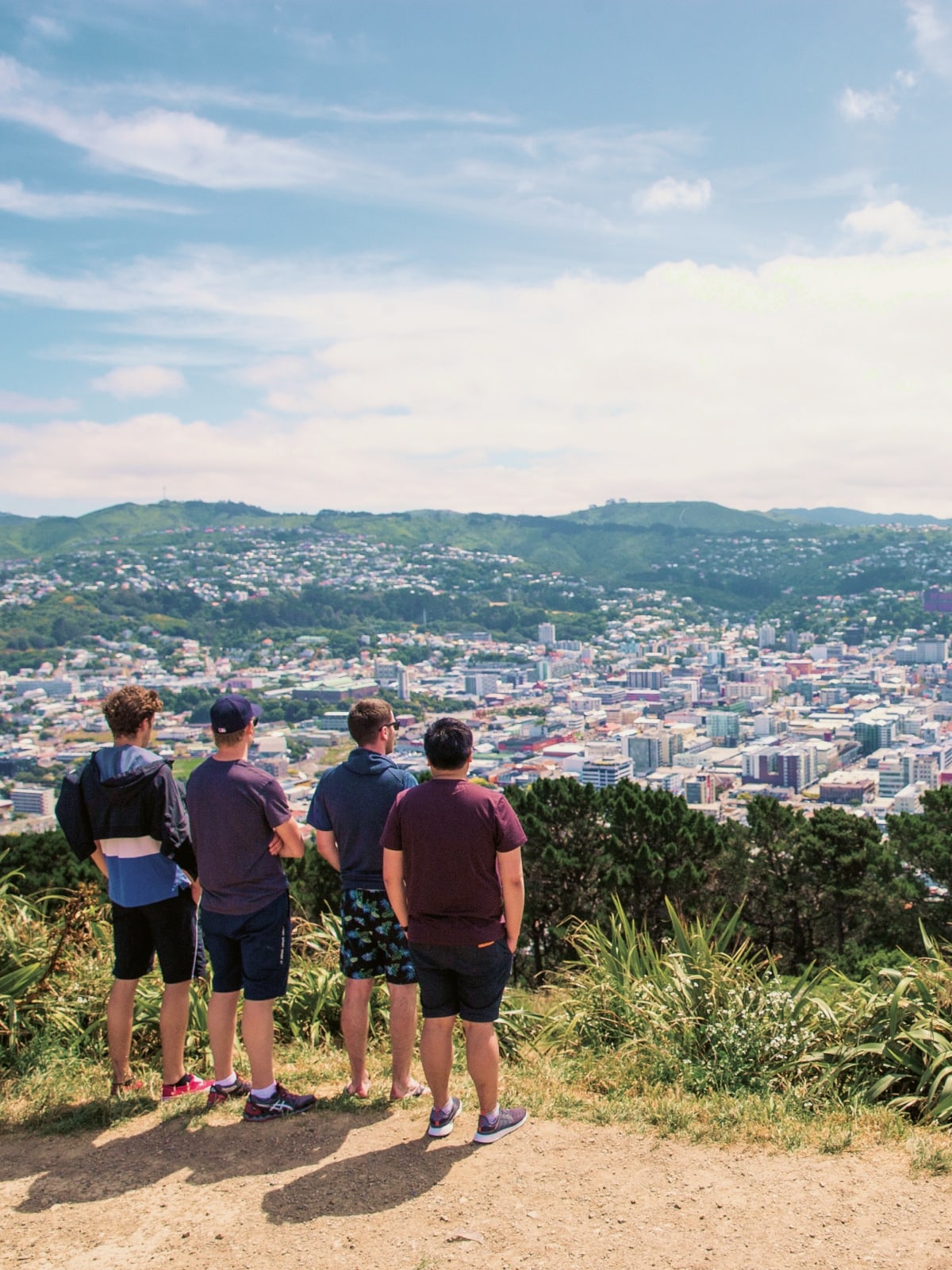 region-newzealand-card-wellington-view-over-wellington.jpg