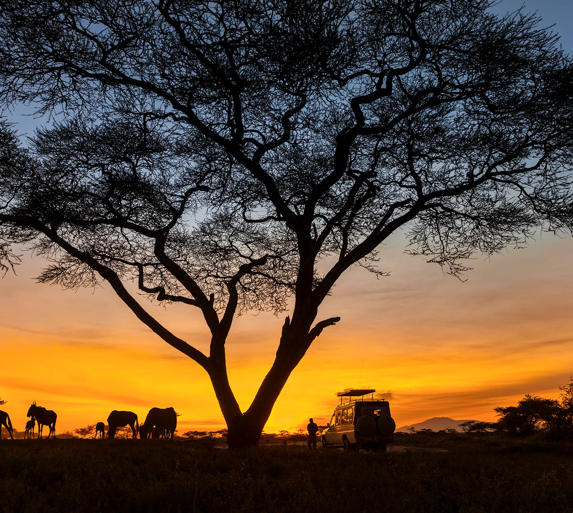 Kenyan Highlights Reunion