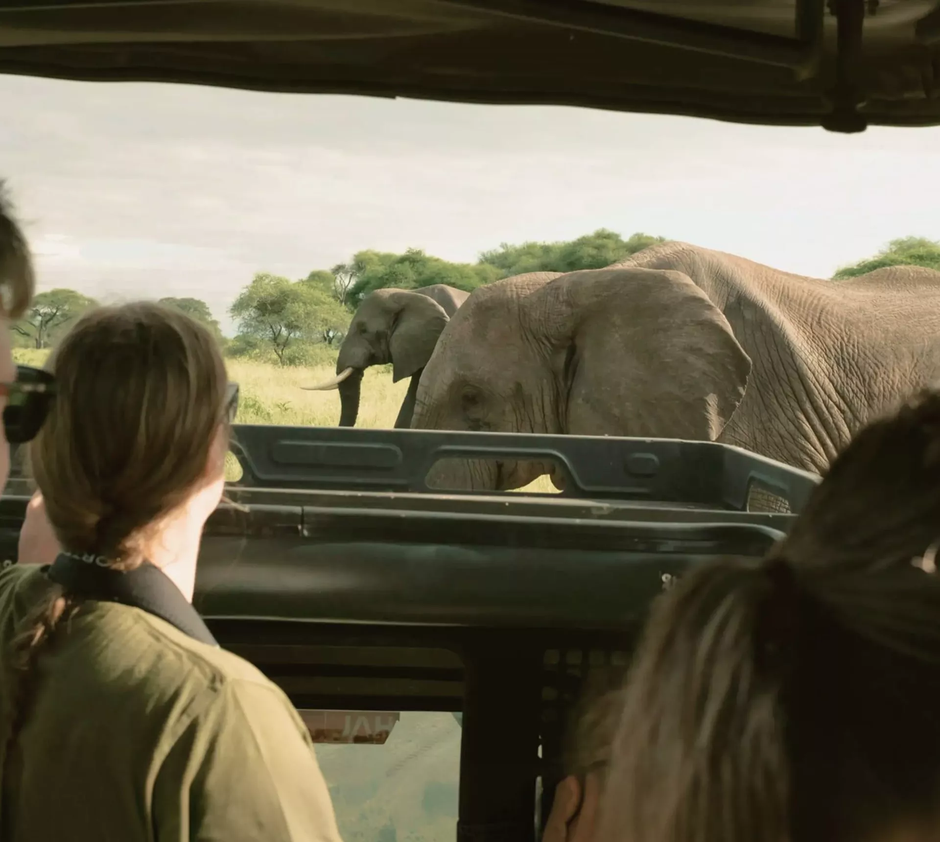 Travellers watching elephants from an open safari vehicle - Contiki Best of Kenya & Tanzania Tour
