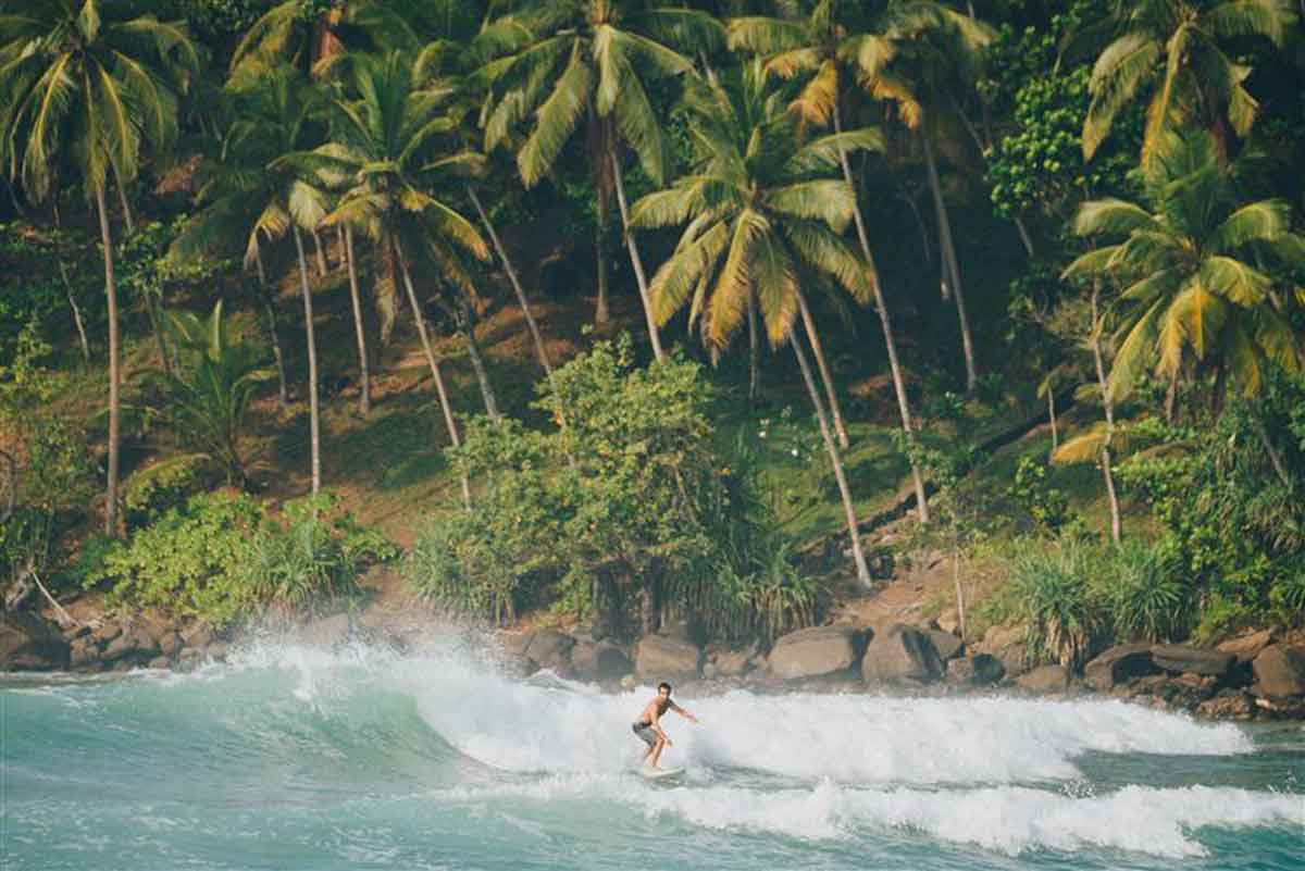 Traveller Surfing In Sri Lanka