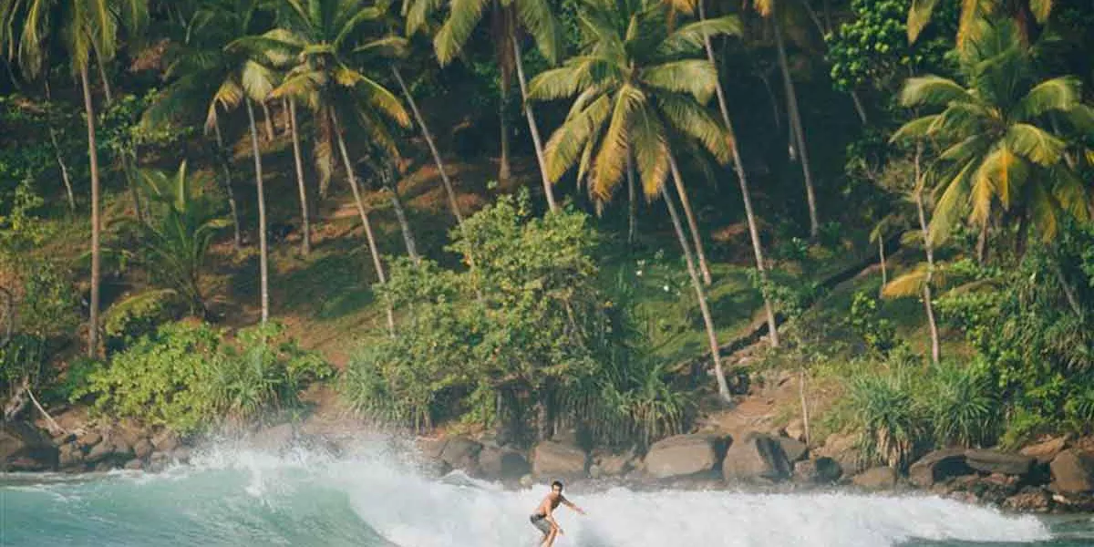 Traveller Surfing In Sri Lanka