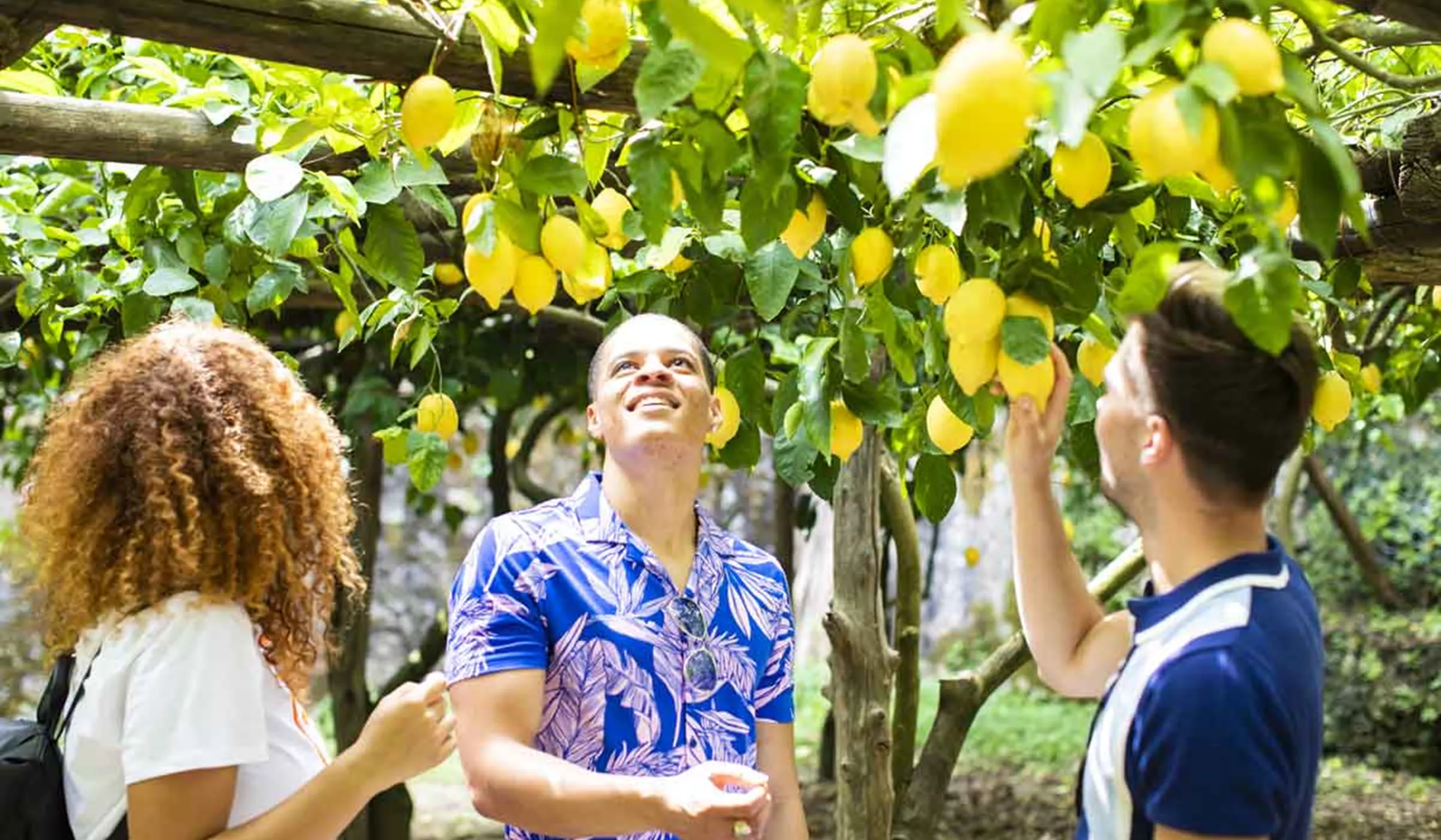 Group of travels exploring lemon grove on Amalfi Coast, Italy