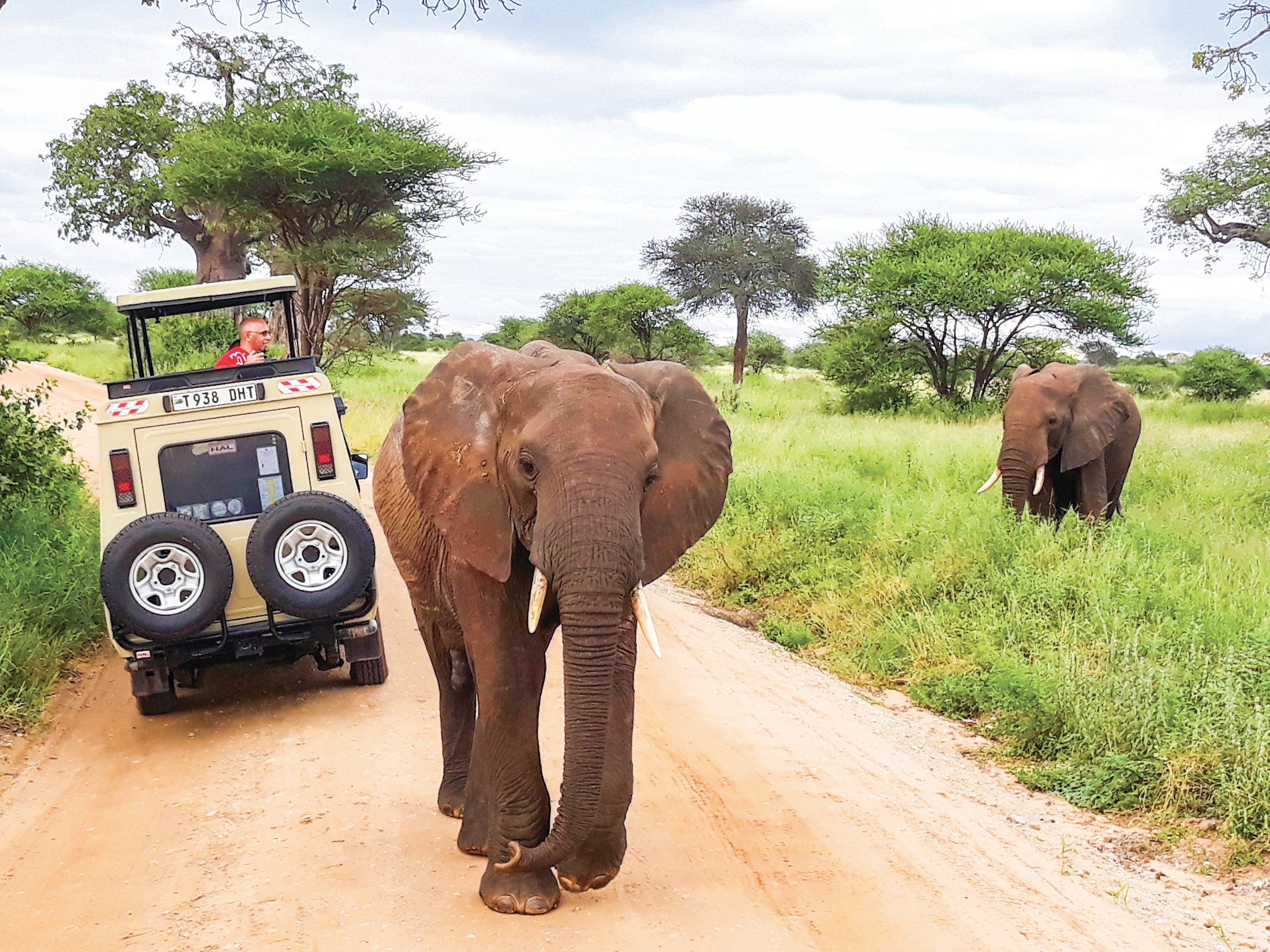 Taste of Tanzania Trip