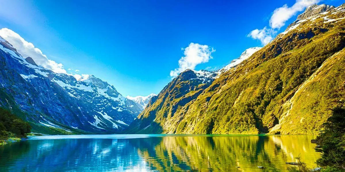 New Zealand Landscape