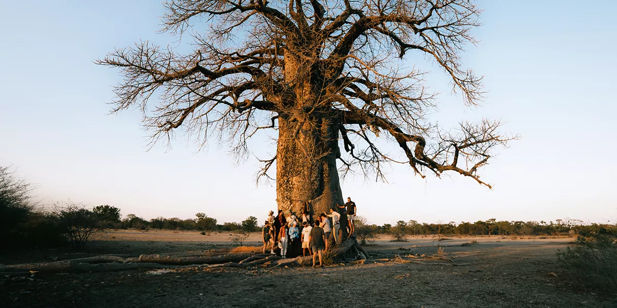 Tanzania Adventure