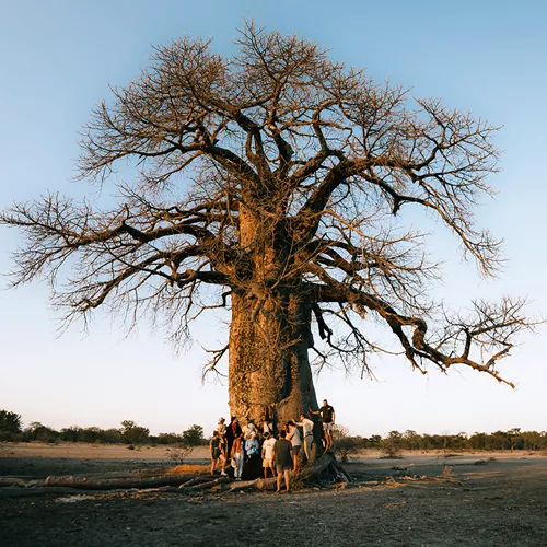 Tanzania Adventure