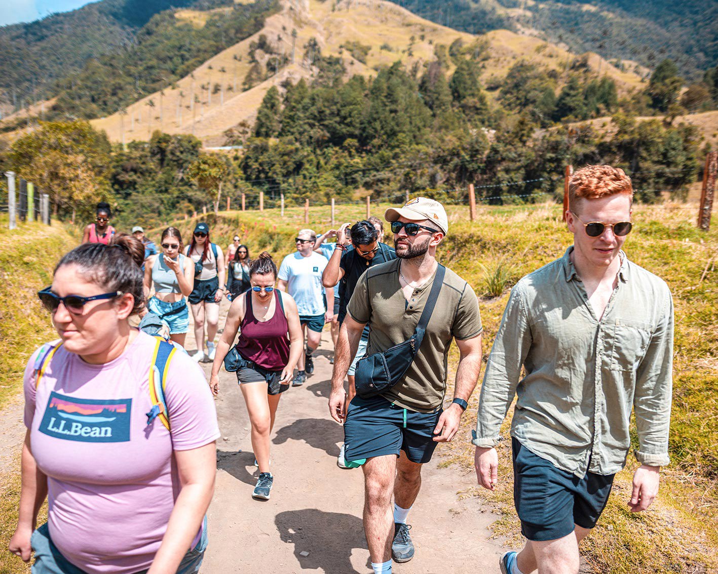 Visit Cocora Valley