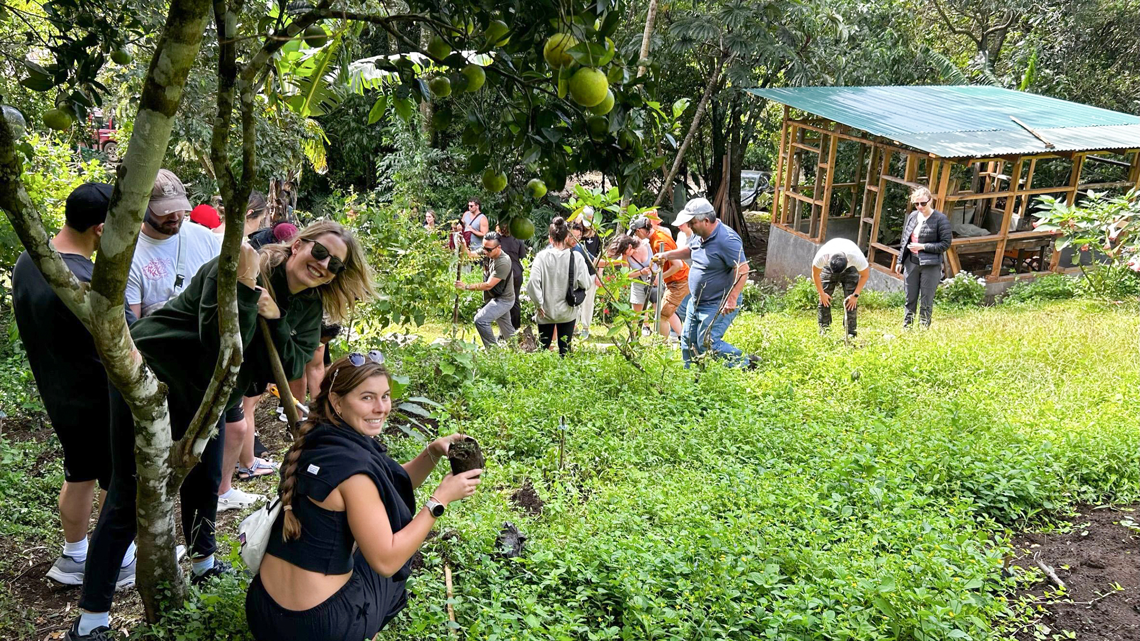 Plant Trees MAKE TRAVEL MATTER® Experience