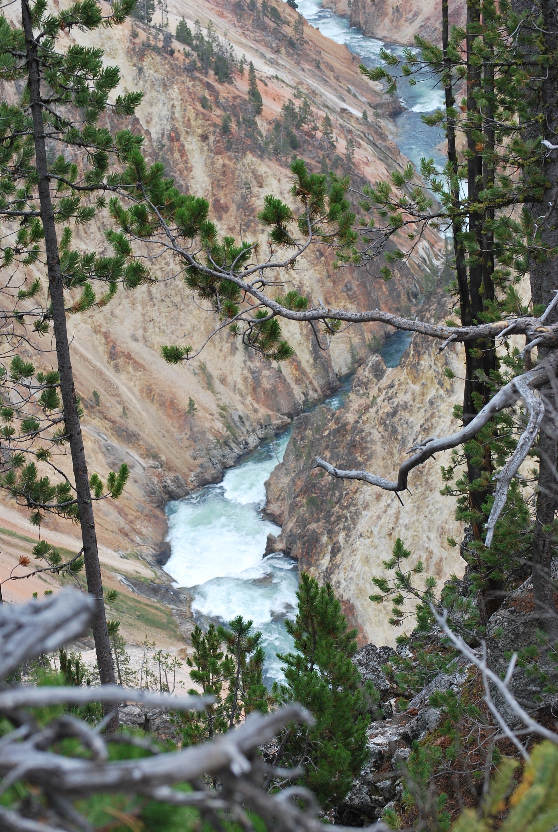Marvel at the Yellowstone Canyon 