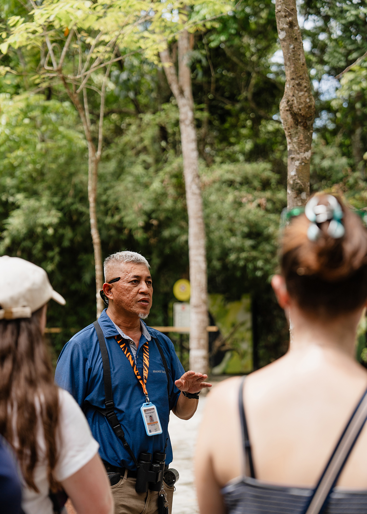 Stroll through the jungle with a local guide
