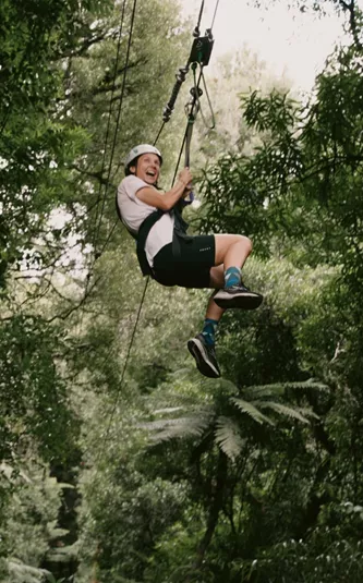 Traveller ziplining through native forest in New Zealand - Contiki North Island & Kaikōura Tour