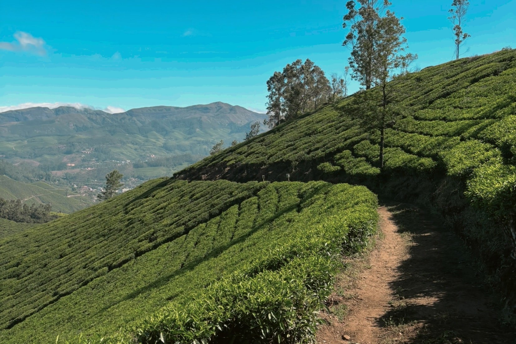 Trek through the Lekshmi Hills