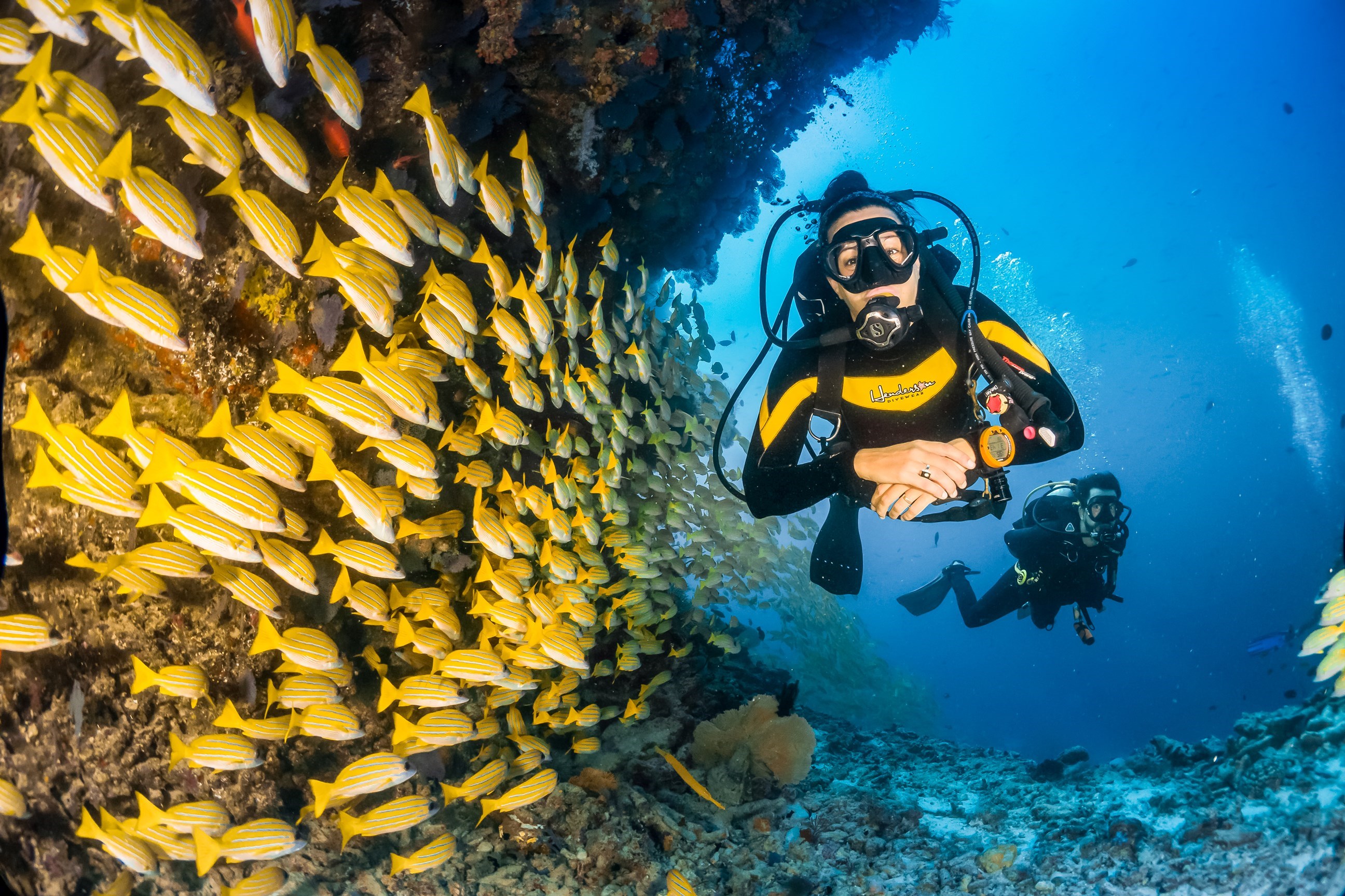 Final Day for Diving Opportunities