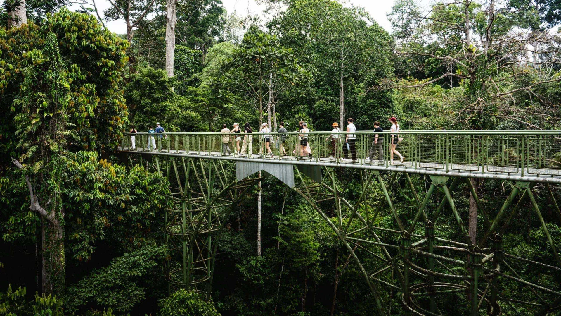 Wild Borneo Tour