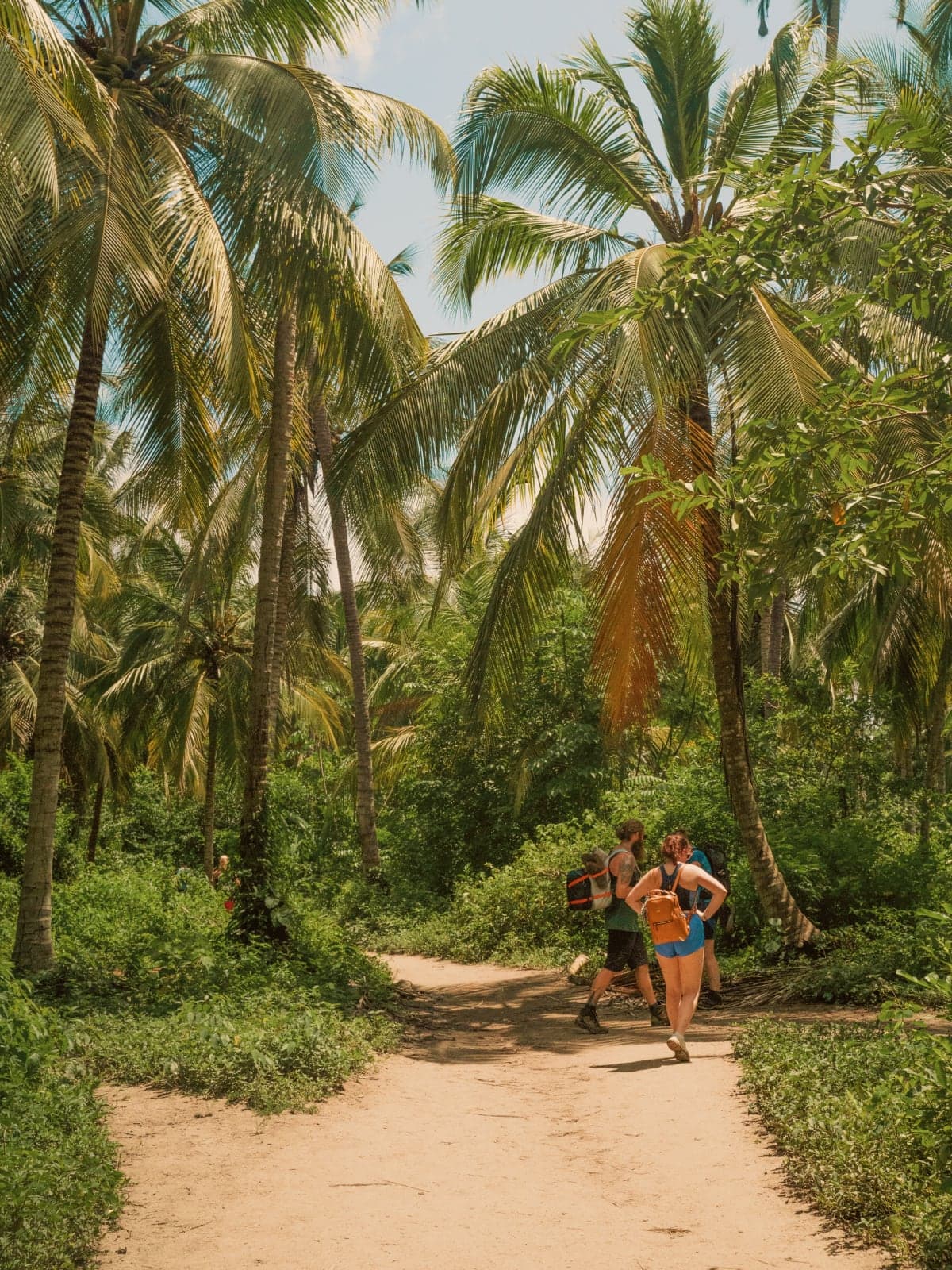 Travellers with backpacks walking along a palm-lined jungle trail in Colombia.