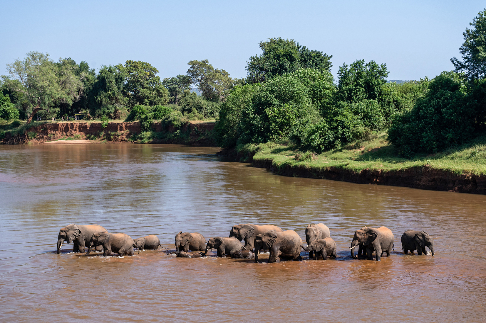 One-day ‘Game Drive’ in Kruger National Park