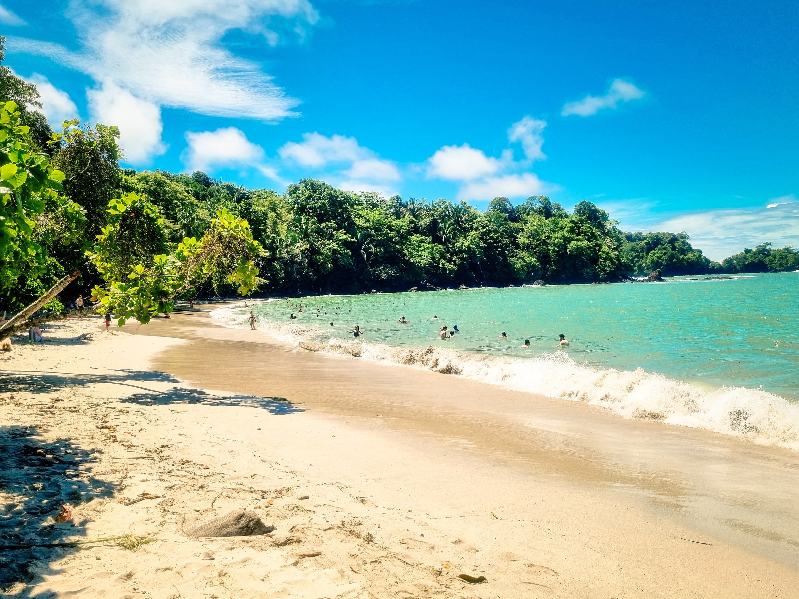 Day Trip to Manuel Antonio National Park