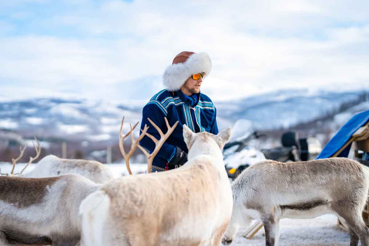 Local With Reindeers Norway