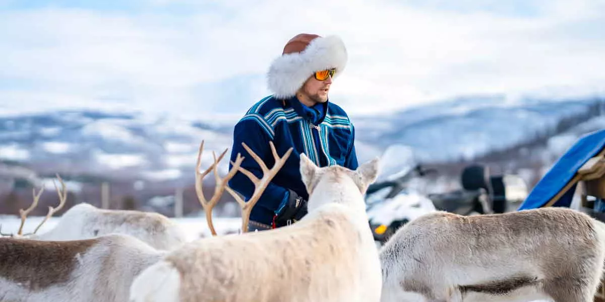 Local With Reindeers Norway