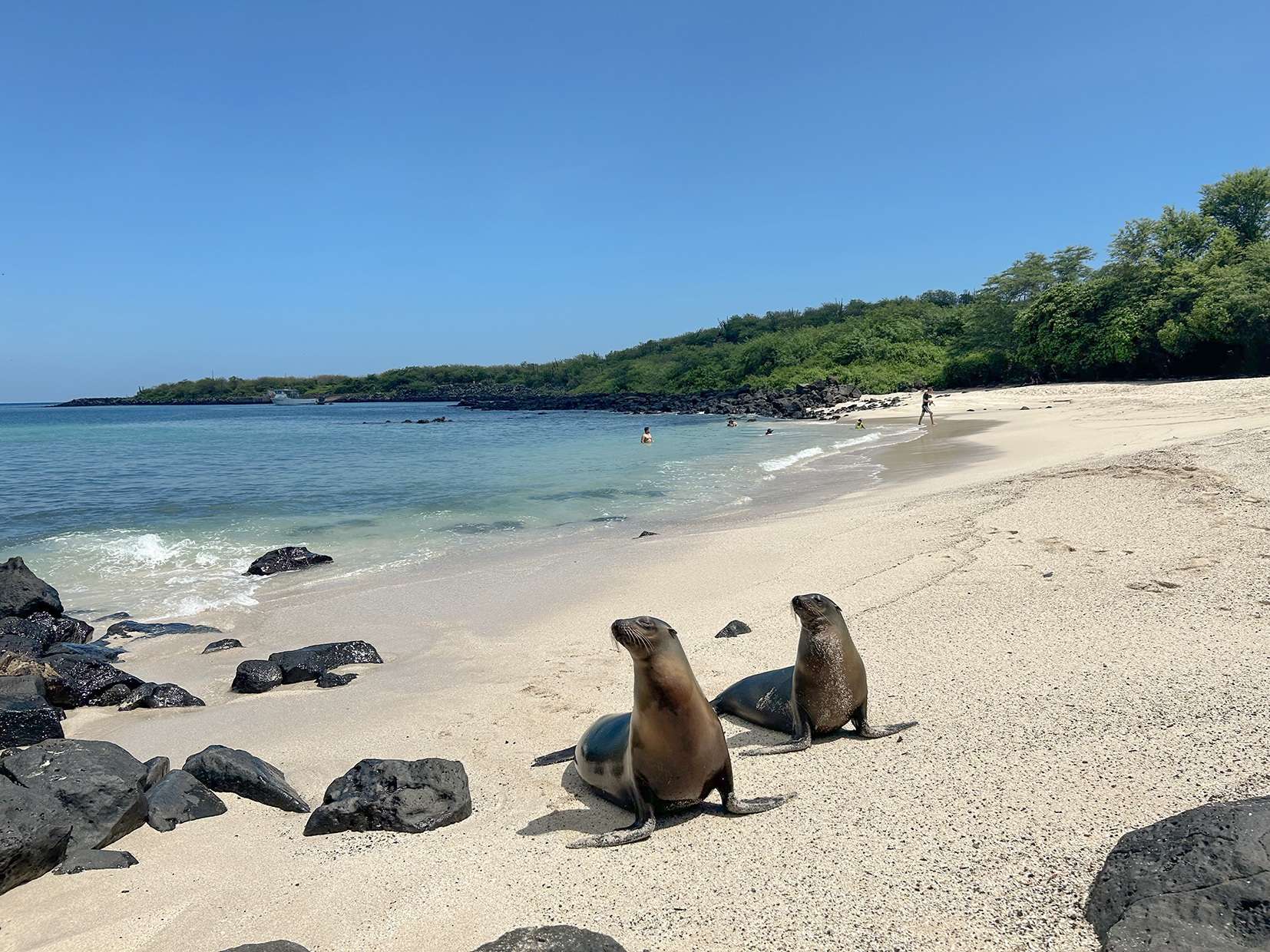 Ecuador and Galapagos Island Hopper Trip