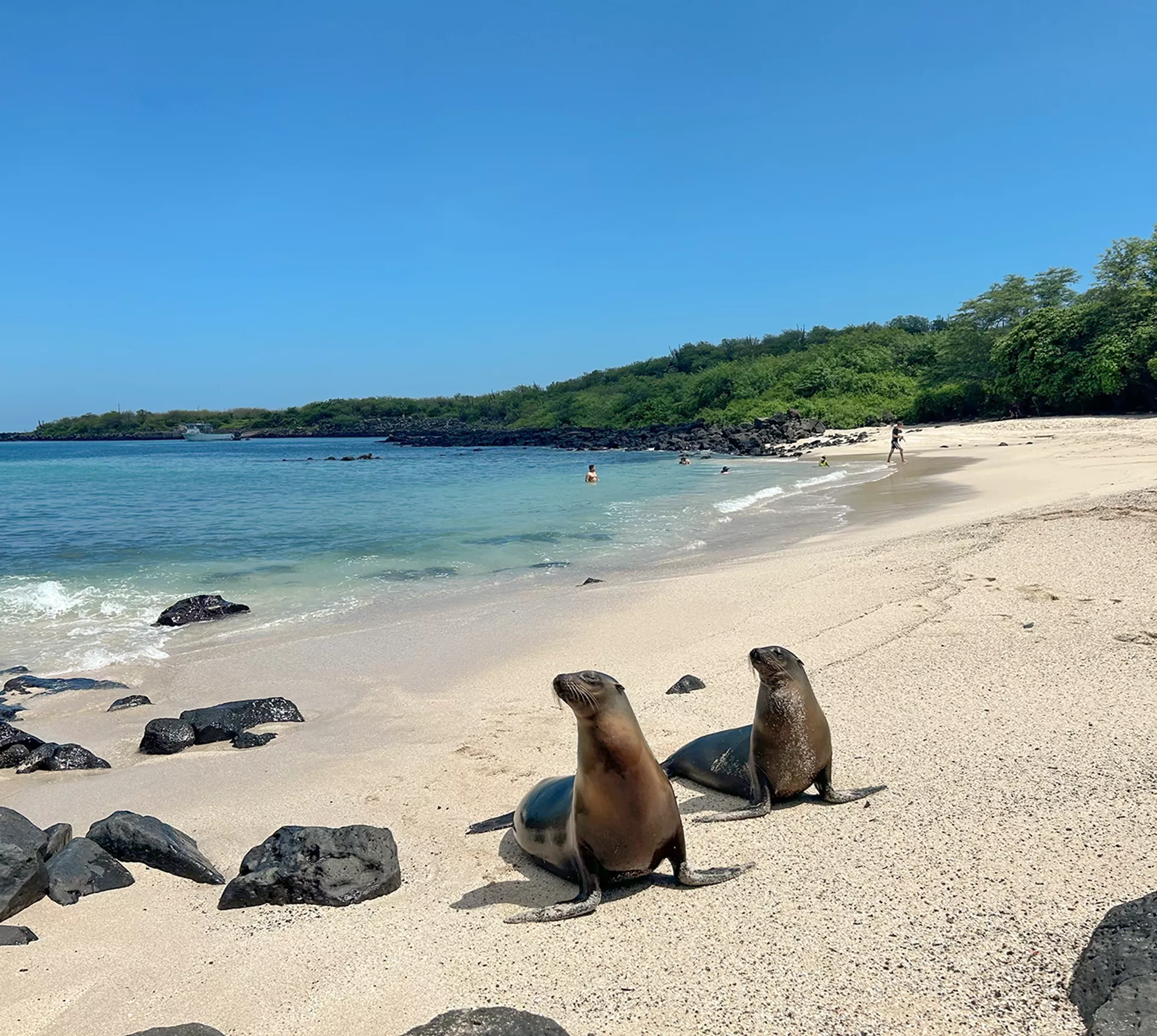 Ecuador and Galapagos Island Hopper Trip