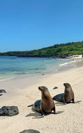 Ecuador and Galapagos Island Hopper Trip
