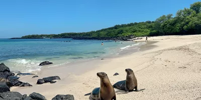 Ecuador and Galapagos Island Hopper Trip