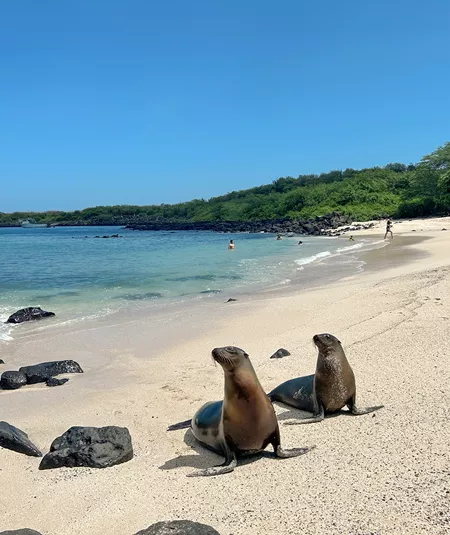 Ecuador and Galapagos Island Hopper Trip