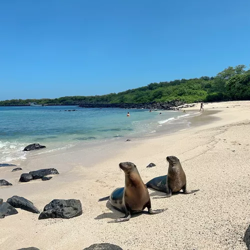 Ecuador and Galapagos Island Hopper Trip