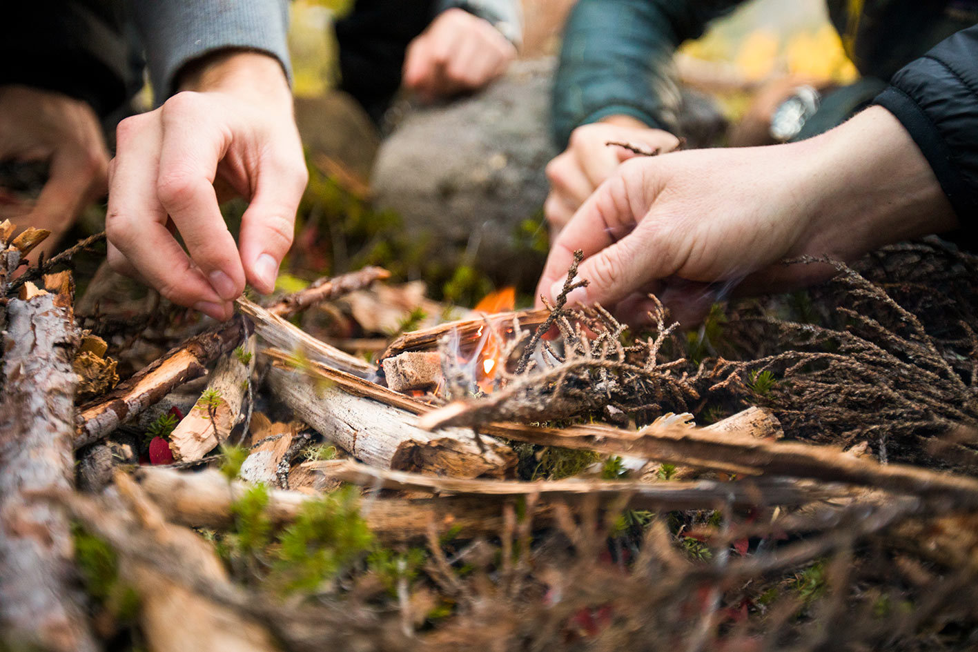 Master Jungle Survival Skills