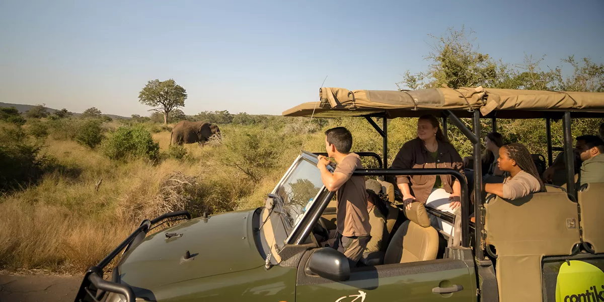 People Enjoying A Safari Looking At Elephants