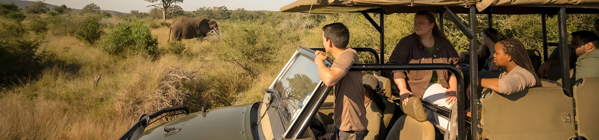 People Enjoying A Safari Looking At Elephants