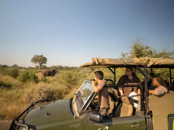 People Enjoying A Safari Looking At Elephants