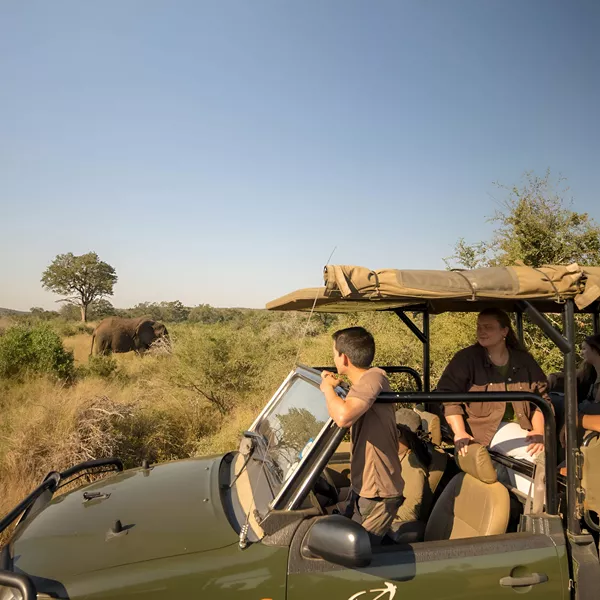 People Enjoying A Safari Looking At Elephants