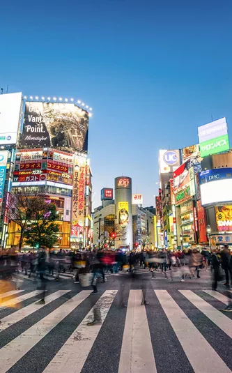 Japan Unrivalled 35 to 45 Trip