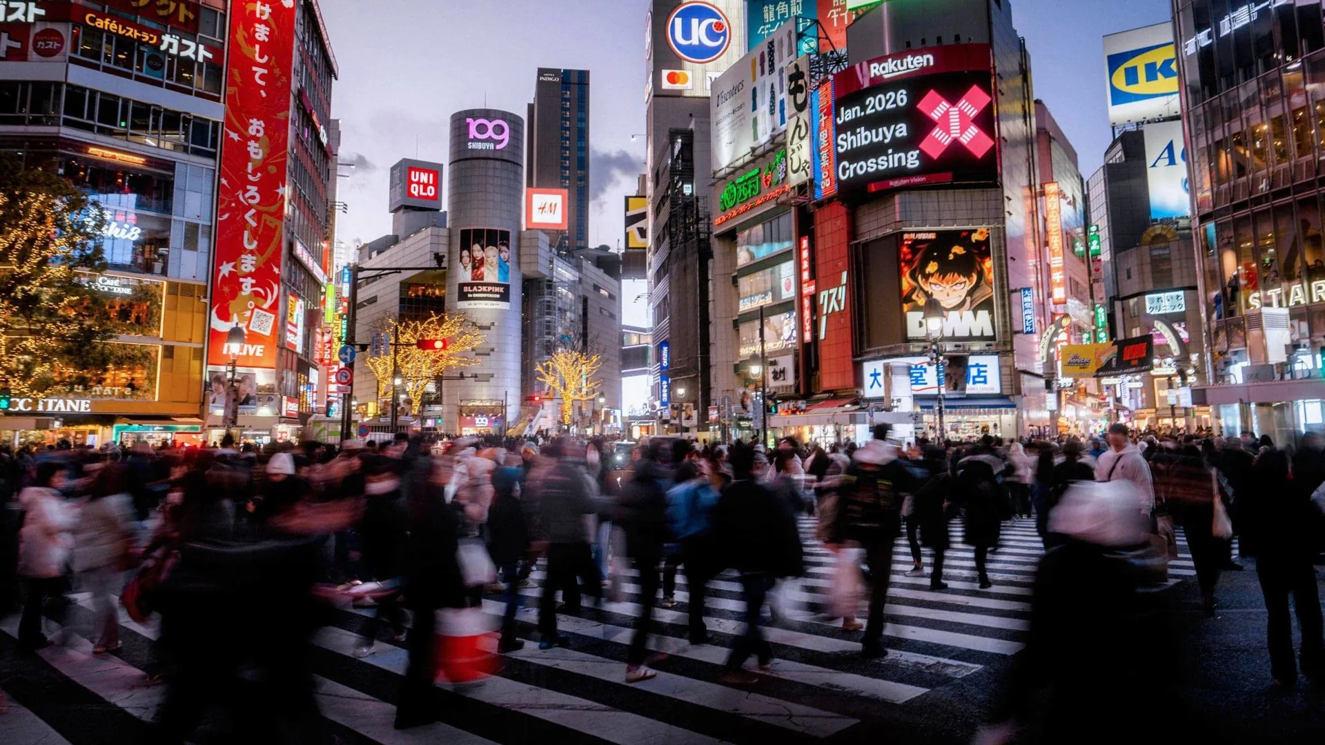 Shibuya Crossing illuminated at night in Tokyo, Japan, on Contiki's Japan in a Week 35 to 45 Tour