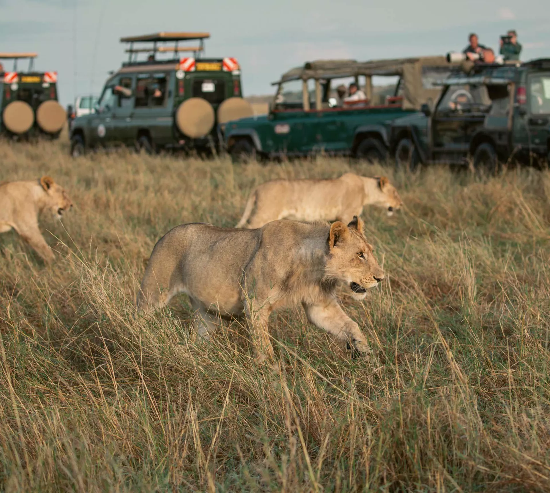 Kenya: Maasai Mara and Safari 35 to 45 Trip