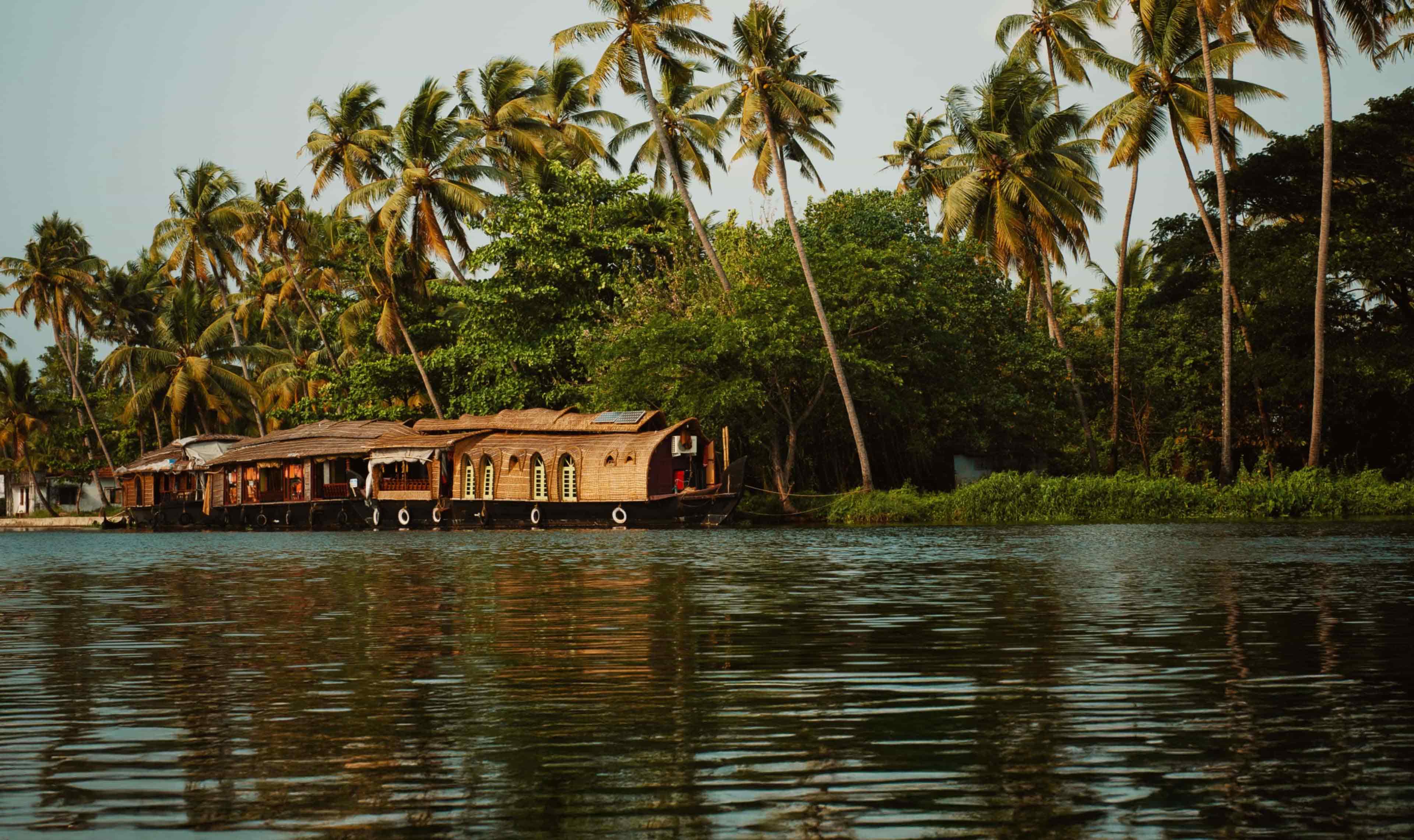 Houseboat Palm Trees Kerala Backwaters India