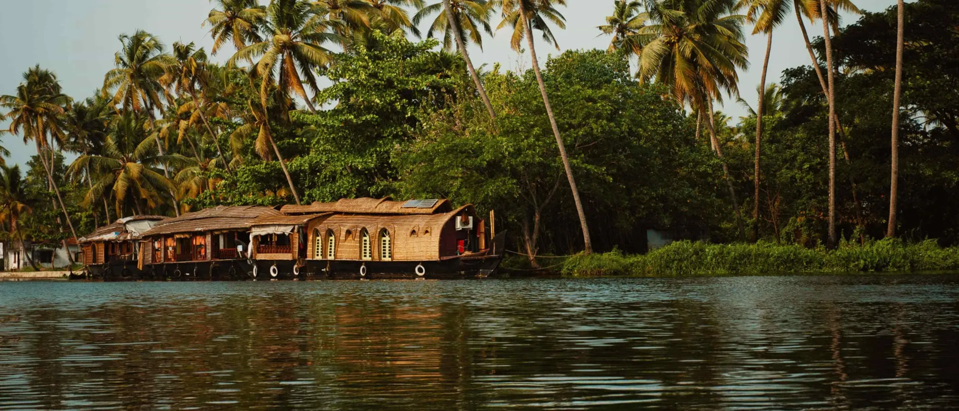 Houseboat Palm Trees Kerala Backwaters India