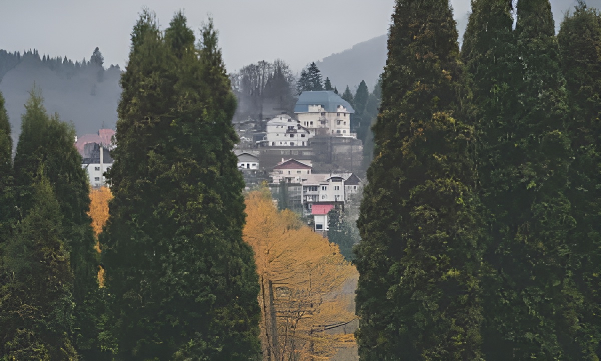 A town in Romania surrounded by forest