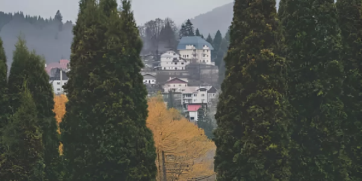 A town in Romania surrounded by forest
