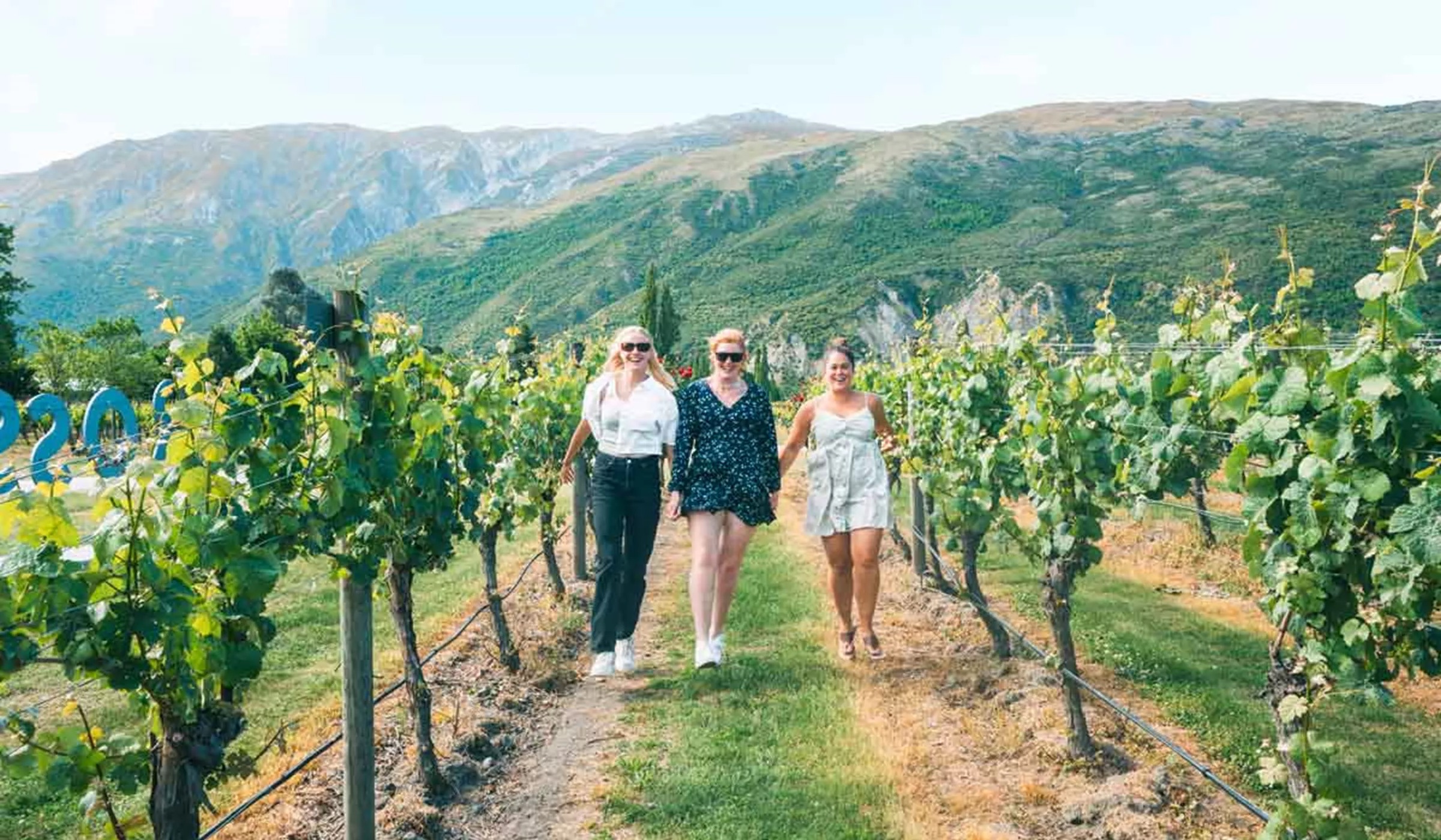 travellers-holding-hands-walking-in-vineyards-in-new-zealand.jpg