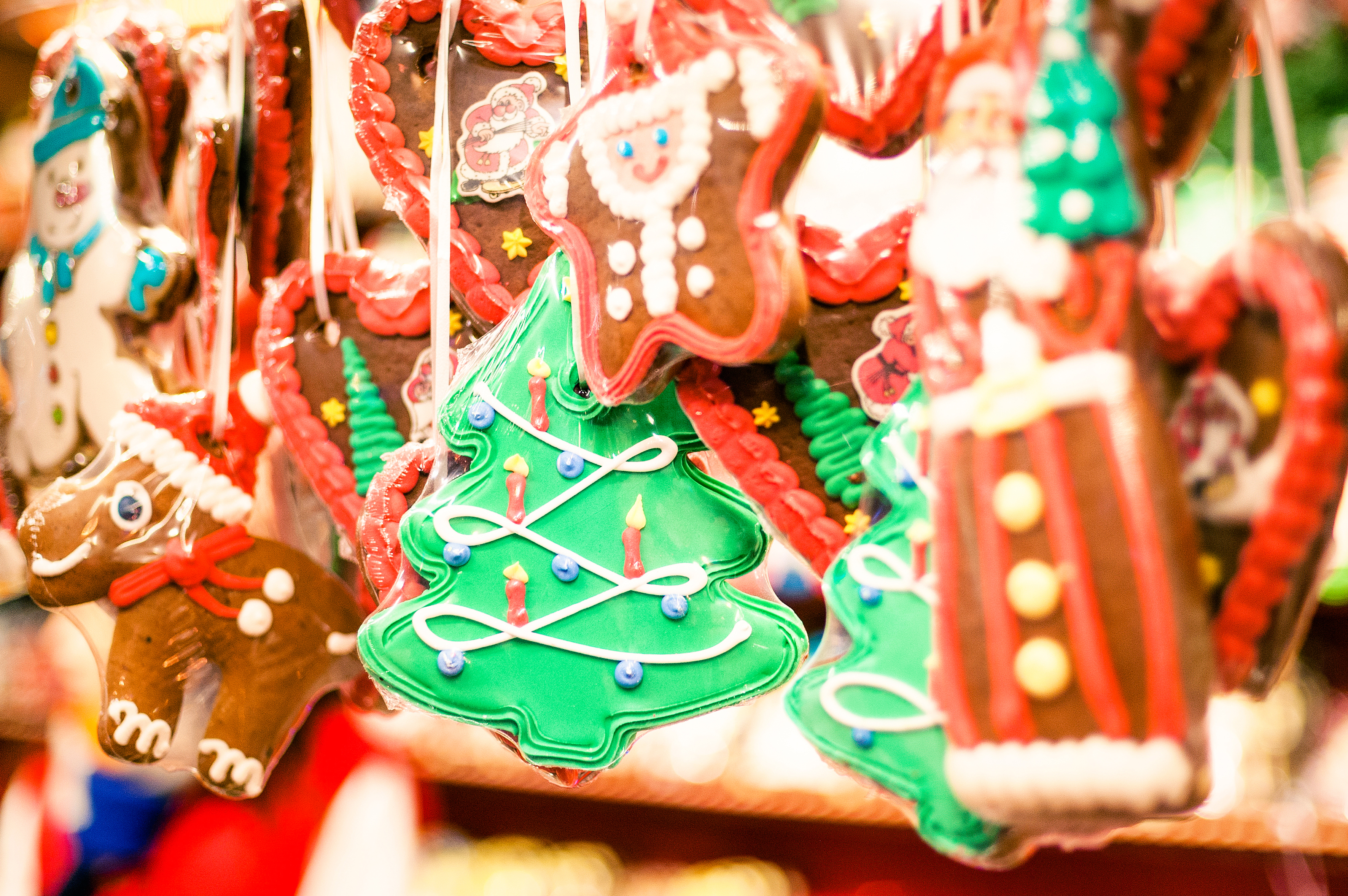 Visit Cologne's Christmas Market