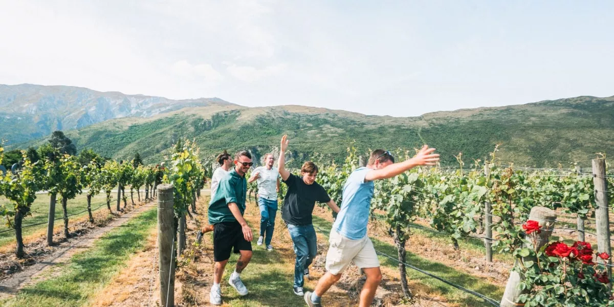 Explore Wine Country In Marlborough With Contiki Min