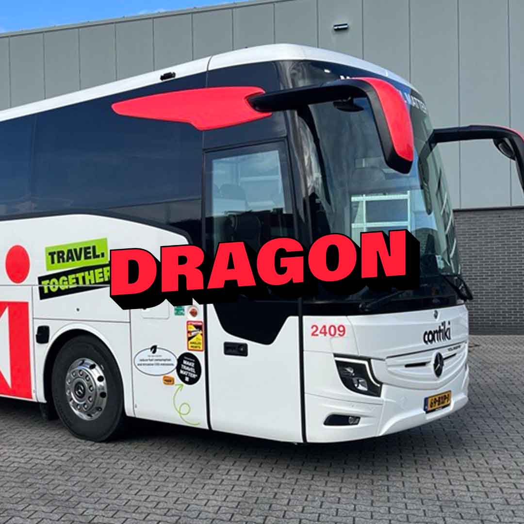 Name Our Coaches Dragon