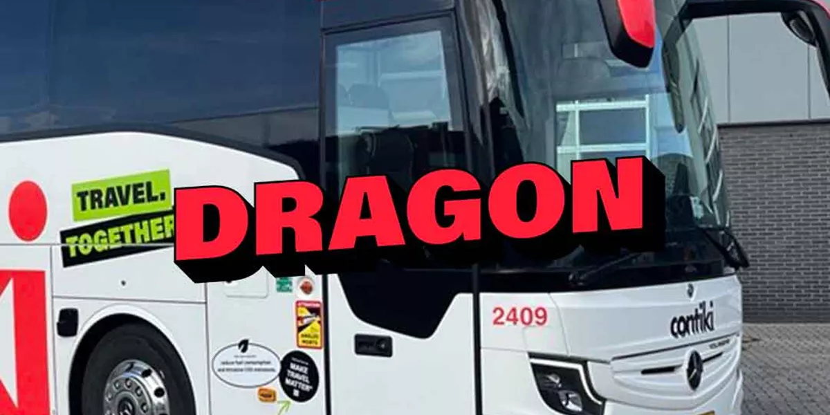 Name Our Coaches Dragon