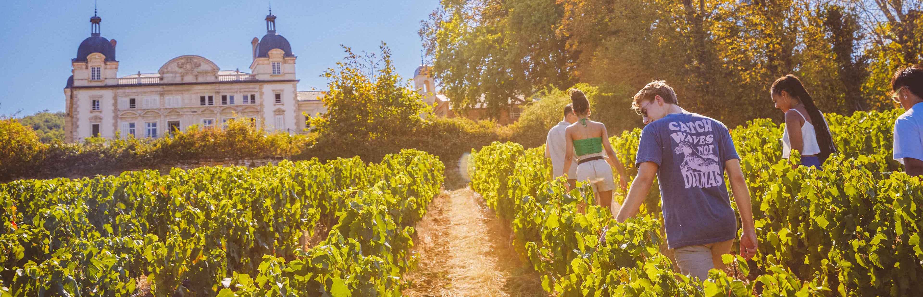 People Walking At The Chateau In France